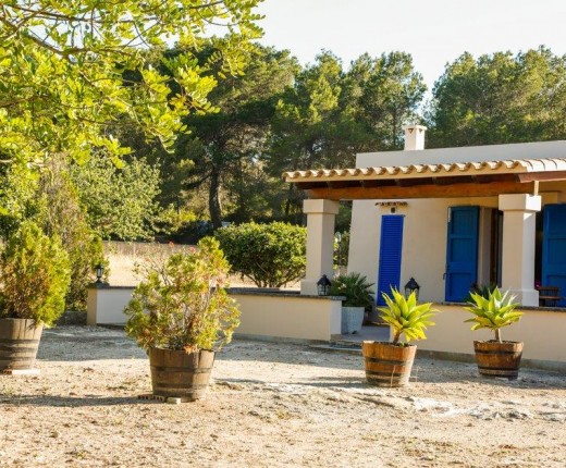 Formentera Pura