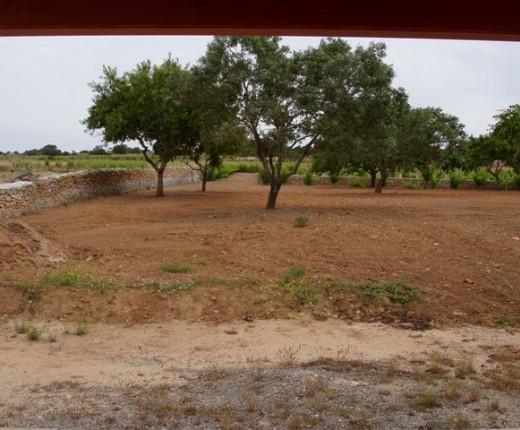 Formentera Pura