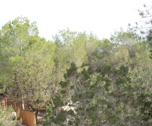 Formentera Pura